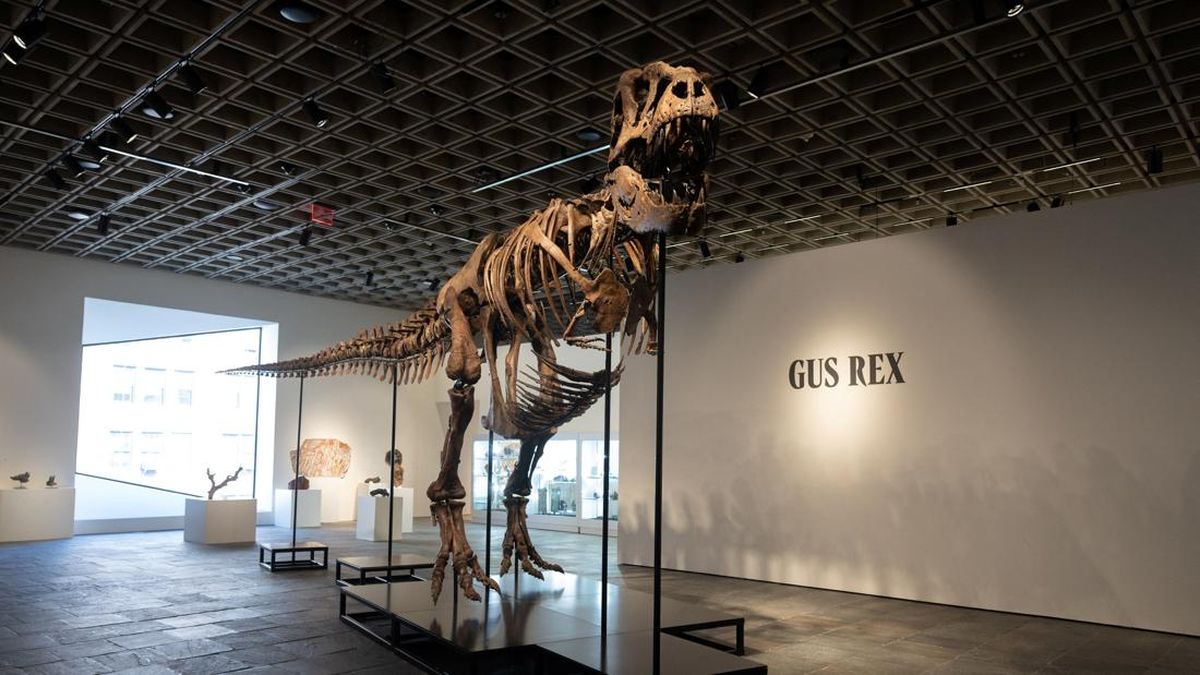 Bulu Burung Ditemukan di Kotoran Dinosaurus, Membuktikan Hubungan Antara Burung dan Pemangsa Purba
