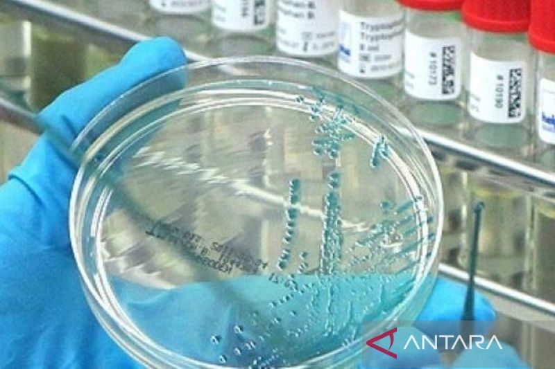 Australia Konfirmasi Kematian Massal Burung Akibat Flu Burung H5