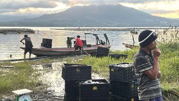Kematian Massal Ikan di Danau Batur, Penyebabnya Terungkap