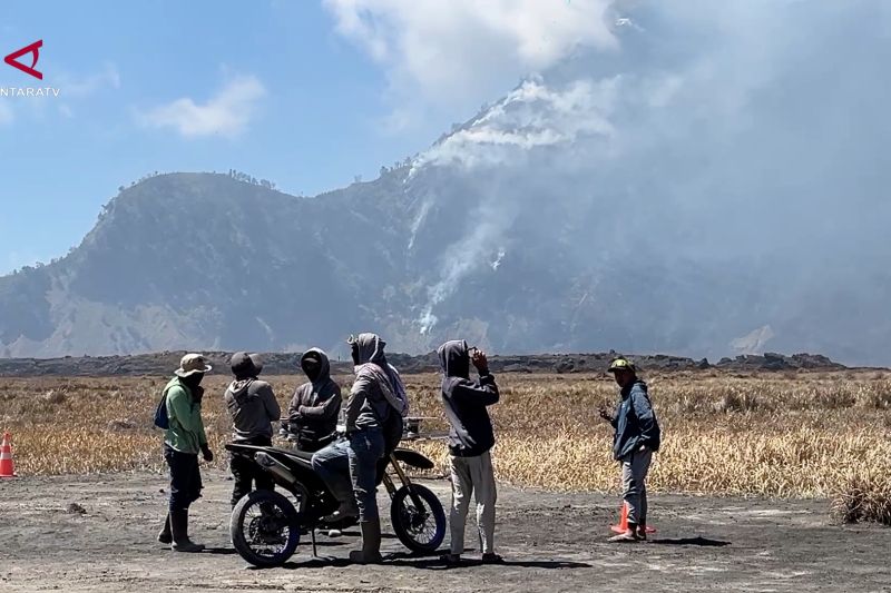 Kebakaran Gunung Bromo Meluas, 520 Hektare Lahan Terbakar